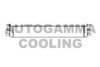 AUTOGAMMA 105171 Radiator, engine cooling